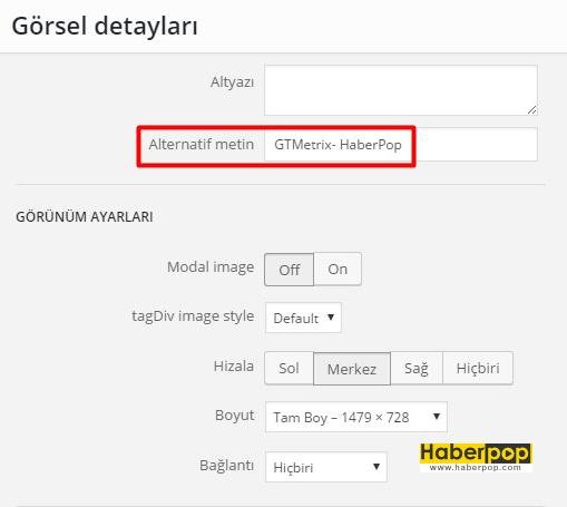 Başarılı SEO teknikleri - Alternatif-metin - HaberPop.com