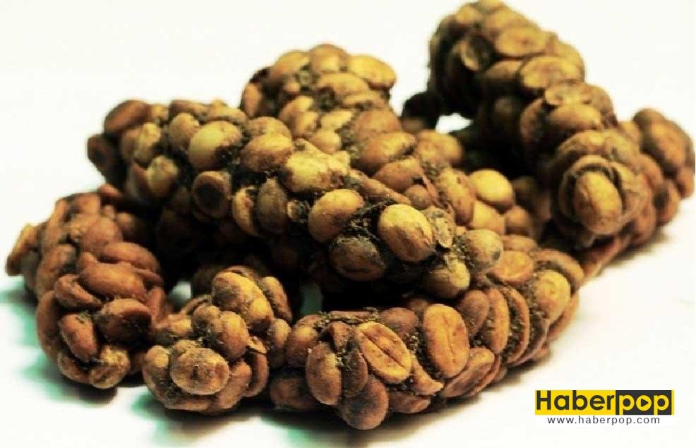 Kopi-Luwak-kahvesi-nedir