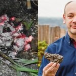 Bahçesine düşen meteorla sigarasını yaktı