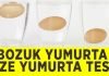 Bozuk ve taze yumurta nasıl anlaşılır: Suyla yumurta tazelik testi
