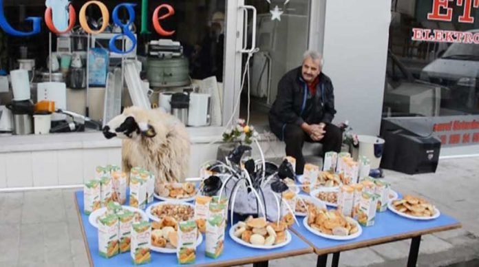 dadas-mucit-kapida-koyunu-ve-kurabileyelerle-kaldi-bedava-elektrik
