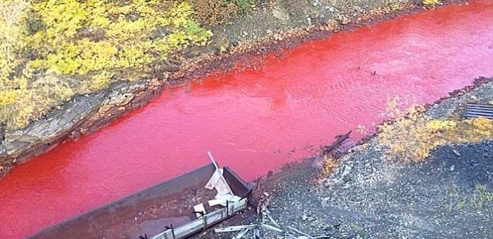 Halk-şaşkına-döndü-Kan-gibi-akan-nehir-videosu-ilginç-haberler