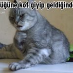 Hislere-terrcuman-kediler-6-Haberpop.com