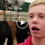 Ineklere-siddet-uygulayan-cocuk-belasini-buldu-video-izle