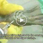 Etlere ağır gelsin diye sıkılan jel: Karboksimetil selüloz