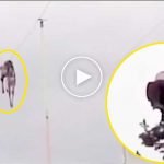 Kartal avladığı geyiği elektrik tellerine düşürdü