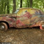 milyon-dolarlik-araba-mezarligi-08-haberpop