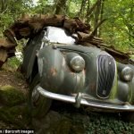 milyon-dolarlik-araba-mezarligi-09-haberpop