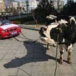 Ne-yaptigi-anlasilmayanlar-60-Haberpop.com