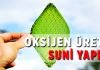 İnsan yapımı suni yaprak uzayda oksijen üretebilecek