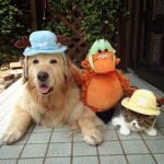 Oliver-Arashi-1-Haberpop.com