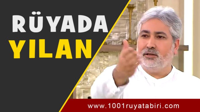 RÜYADA YILAN GÖRMEK-RÜYADA YILAN SOKMASI- RÜYADA YILAN ISIRMASI-DİYANET-İSLAMİ rüyada yılan görmek