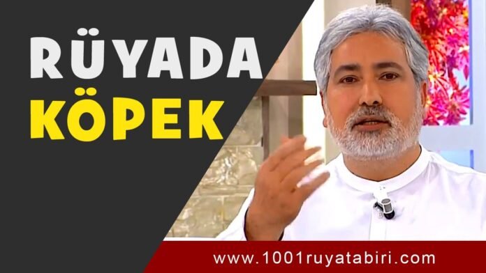 Rüyada Köpek Görmek, Kopeklerin Kovalaması, Kopeklerden Kaçmak Diyanet
