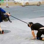 Sevgilisini boynuna tasma takıp gezdirdi