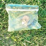 Sokağa atılmış insan kalbi bulundu