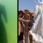 Tuzla-kapli-elbise-k-HaberPop