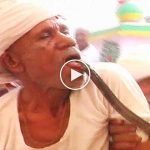 Uyuşturucu etkisi yaptığı için kobraya dilini sokturan adam