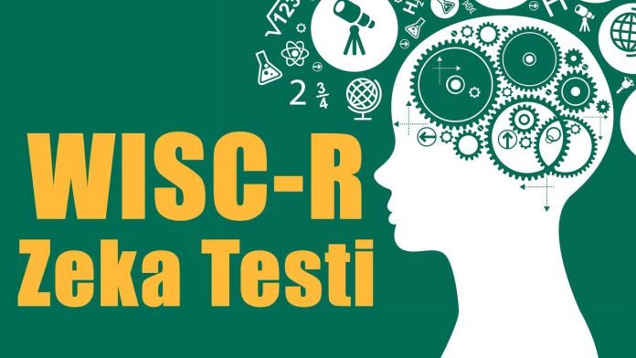 Wisc-r Zeka Testi Nedir Kimler Uygulayabilir?-Wisc-r Nasıl Yapılır?