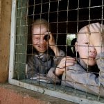 albino-siyahlar-09-haberpop