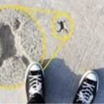 Betona izi çıkan kurbağa Twitter’ın gündemine oturdu