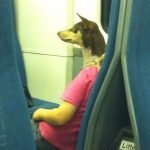 bir-bakista-anlasilamayan-fotolar-06-HaberPop