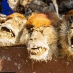 Büyü pazarı: Vudu büyüsünden vudu bebeğine kadar her şey var