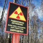 Çernobil’in radyasyonlu ağaçları insanlara mı satılıyor?