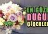 En Güzel Yaz Düğünü Çiçekleri, İsimleri ve Anlamları Dünyanın En Güzel Kokan Yaz Düğün Çiçekleri, İsimleri ve Anlamları