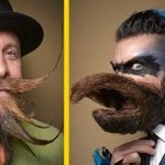 Sakal yarışmasından dünyanın en ilginç 10 sakalı