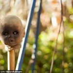 issiz-adayi-isgal-eden-korkunc-bebekler-06-haberpop