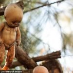 issiz-adayi-isgal-eden-korkunc-bebekler-09-haberpop