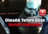 Olmadık yerlere giren sevimli hayvanlar