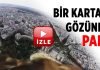 Kartalın gözünden Paris büyüledi