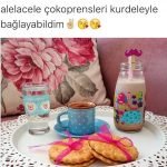 kocisim-sunumlari-kociskolar-04-haberpop