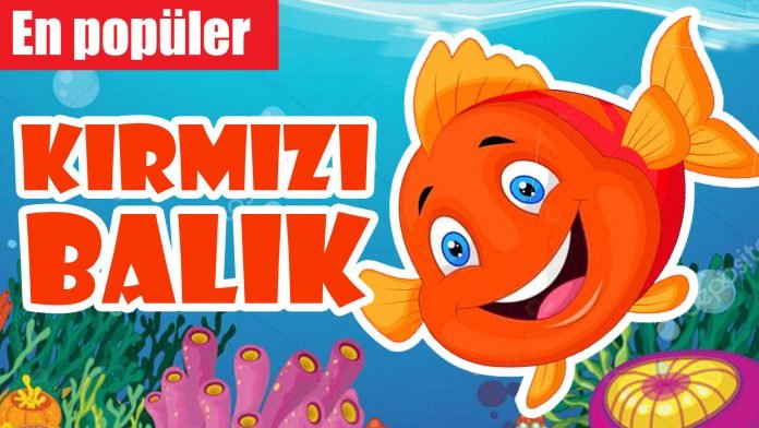 Kırmızı balık gölde şarkısı sözleri notaları