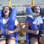 Lunaparkta Eğlenen Kız Martıyla Çarpıştı lunaparkta yüzüne martı çarpan genç kız