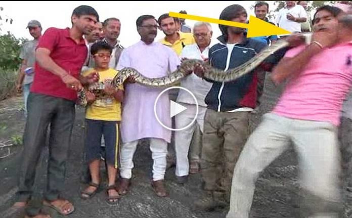 piton-adami-boyle-isirdi-video-izle