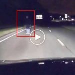 Gece vakti aniden karşısına çıktı