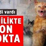 sdfgh