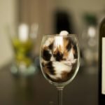 tuhaf-yerlerde-uyuyan-komik-kediler-03-haberpop