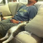 tuhaf-yerlerde-uyuyan-komik-kediler-17-haberpop