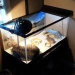 tuhaf-yerlerde-uyuyan-komik-kediler-18-haberpop